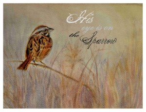 his eye is on the sparrow
