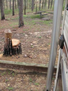 Lei's Chair