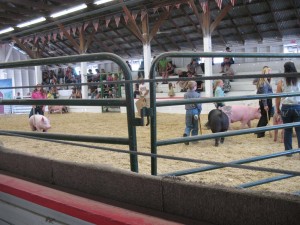 A little lull in the action