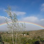 2008 Trip West