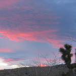 2007 Trip South