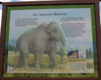 Mammoth at Tolo Lake