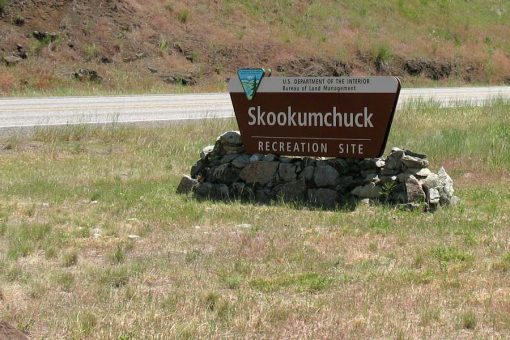 Skookumchuck Sign