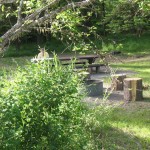 National Forest Campgrounds