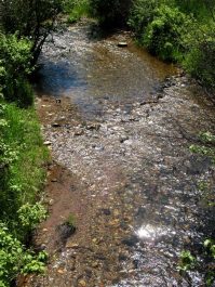 Creek View 1