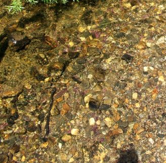 Garnet Deposits Downstream