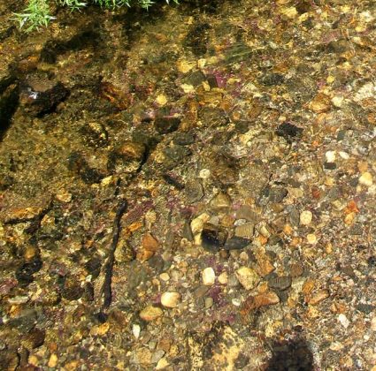 Garnet Deposits Downstream