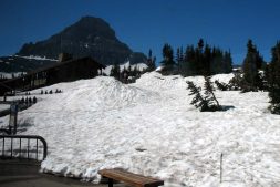 Logan Pass