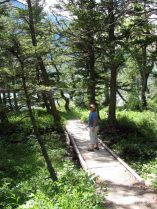 Rising Sun Trail