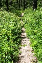Rising Sun Trail Path