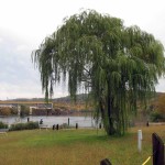 Boondocking on a Budget