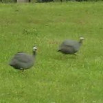 Boondocking on a Budget